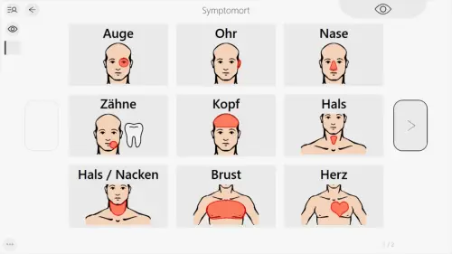 Zustandsbewertung - Symptomort