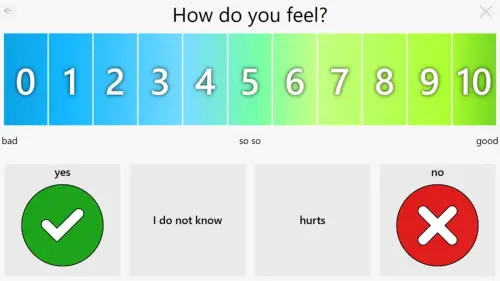 Condition Assessment - Well-being scale